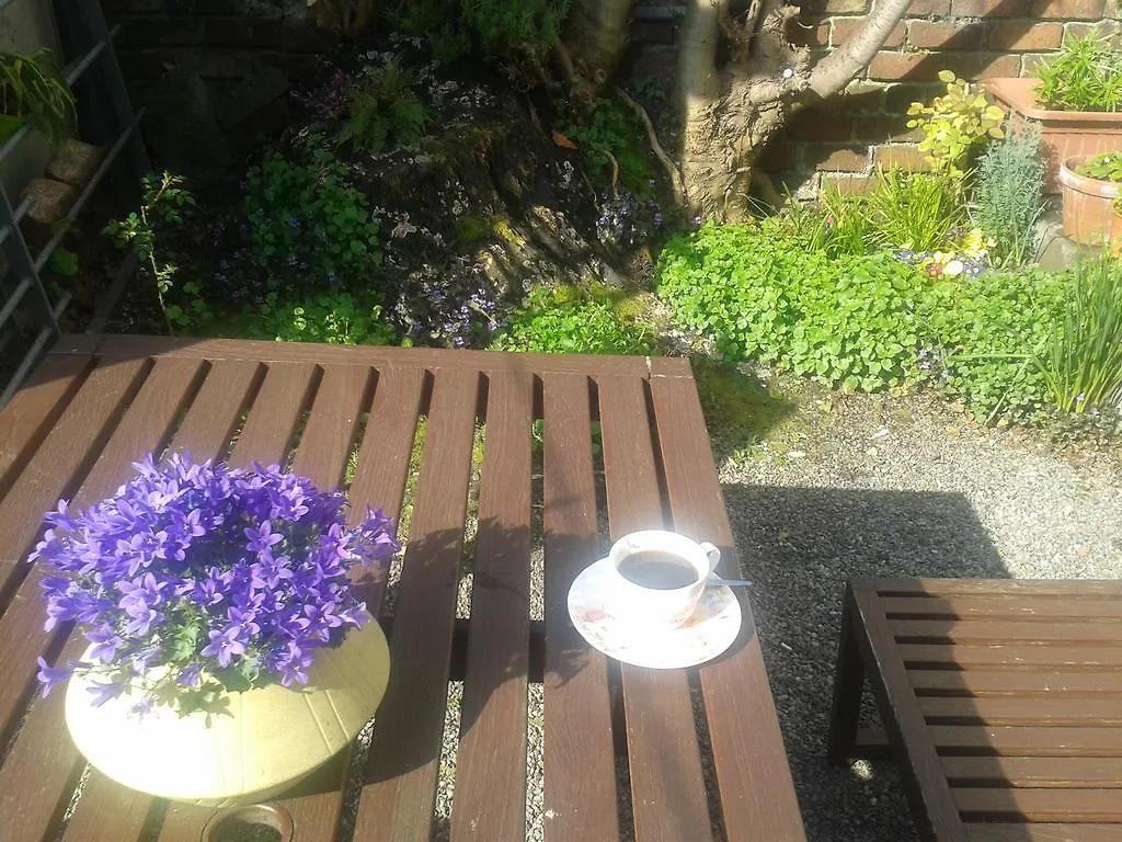Harrington House Hostel Dublin